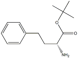 D-HoMophenylalanine tert-Butyl Ester Structure