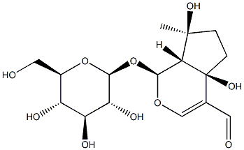 (1S)-1α-(β-D-グルコピラノシルオキシ)-1,4a,5,6,7,7aα-ヘキサヒドロ-4aα,7α-ジヒドロキシ-7-メチルシクロペンタ[c]ピラン-4-カルボアルデヒド 化学構造式