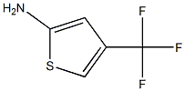 4-(trifluoroMethyl)thiophen-2-aMine 结构式