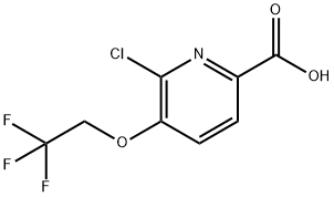 6-chloro-5-(2,2,2-trifluoroethoxy)picolinic acid Struktur