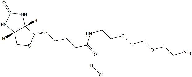 (3AS,4S,6AR)-N-[2-[2-(2-氨基乙氧基)乙氧基]乙基]六氢-2-氧代-1H-噻吩并[3,4-D]咪唑-4-戊酰胺单盐酸盐 结构式