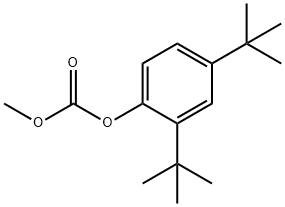 Carbonic acid, 2,4-bis(1,1-diMethylethyl)phenyl Methyl ester Structure