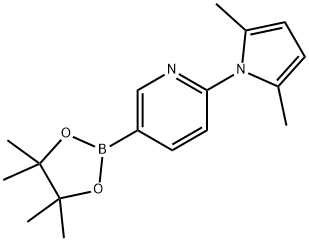 2-(2,5-diMethyl-1H-pyrrol-1-yl)-5-(4,4,5,5-tetraMethyl-1,3,2-dioxaborolan-2-yl)pyridine Struktur