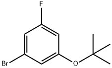1-溴-3-(三级丁氧基)-5-氟苯,889362-81-6,结构式