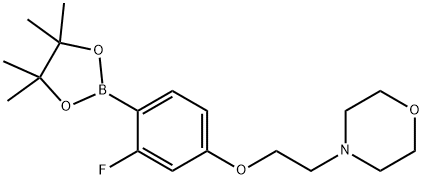 2-Fluoro-4-[2-(4-Morpholinyl)ethyloxy]benzeneboronic acid pinacol ester, 96% 化学構造式