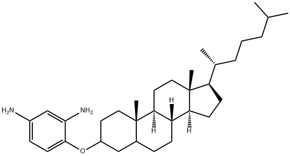 4-(胆甾烷-3-基氧基)-1,3-苯二胺, 916745-48-7, 结构式