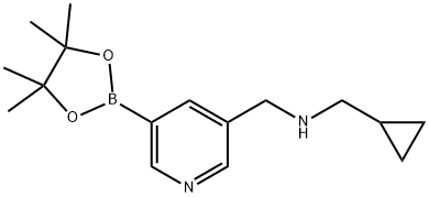 3-PYRIDINEMETHANAMINE, N-(CYCLOPROPYLMETHYL)-5-(4,4,5,5-TETRAMETHYL-1,3,2-DIOXABOROLAN-2-YL)-|3-吡啶甲胺,N-(环丙基甲基)-5-(4,4,5,5-四甲基-1,3,2-二氧杂环戊硼烷-2-基)-