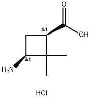 cis-3-AMino-2,2-diMethylcyclobutanecarboxylic acid hydrochloride Structure