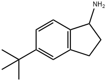 5-叔丁基-2,3-二氢-1H-茚-1-胺, 935680-90-3, 结构式