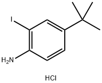 4-tert-Butyl-2-iodo-phenylaMine hydrochloride Structure