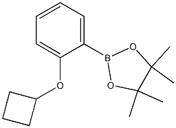 2-(2-Cyclobutoxy-phenyl)-4,4,5,5-tetraMethyl-[1,3,2]dioxaborolane Structure
