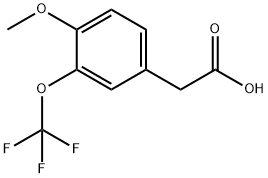 4-メトキシ-3-(トリフルオロメトキシ)フェニル酢酸 化学構造式
