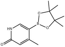4-Methyl-5-(4,4,5,5-tetraMethyl-1,3,2-dioxaborolan-2-yl)pyridin-2-ol|4-甲基-5-(4,4,5,5-四甲基-1,3,2-二氧杂环戊硼烷-2-基)2-羟基吡啶