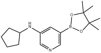 N-环戊基-5-(4,4,5,5-四甲基-1,3,2-二氧杂环戊硼烷-2-基)吡啶-3-胺, 1509931-85-4, 结构式