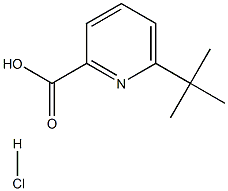 6-叔丁基吡啶-2-羧酸盐酸盐, , 结构式