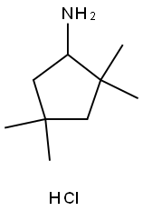 2,2,4,4-TetraMethylcyclopentanaMine hydrochloride Struktur