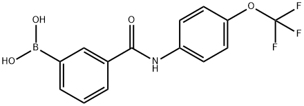 (3-((4-(trifluoroMethoxy)phenyl)carbaMoyl)phenyl)boronic acid Struktur