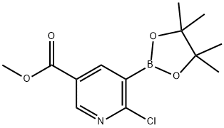METHYL 6-CHLORO-5-(4,4,5,5-TETRAMETHYL-1,3,2-DIOXABOROLAN-2-YL)NICOTINATE Struktur