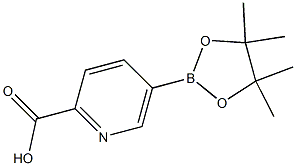 5-(4,4,5,5-Tetramethyl-[1,3,2]dioxaborolan-2-yl)-pyridine-2-carboxylic acid 化学構造式