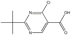 2-(tert-Butyl)-4-chloropyriMidine-5-carboxylic acid Struktur
