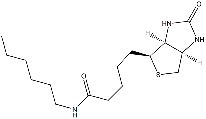 (+)-Biotinyl hexylaMine Structure