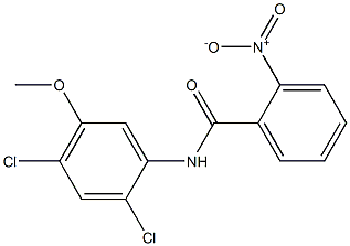 N-(2,4-dichloro-5-Methoxyphenyl)-2-nitrobenzaMide