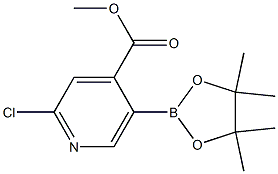 2-氯-5-(4,4,5,5-四甲基-1,3,2-二氧杂环戊硼烷-2-基)异烟酸甲酯