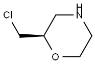 (R)-2-(chloroMethyl)Morpholine 结构式