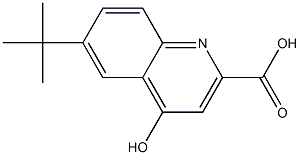 6-tert-Butyl-4-hydroxy-quinoline-2-carboxylic acid Struktur