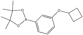 2-(3-Cyclobutoxy-phenyl)-4,4,5,5-tetraMethyl-[1,3,2]dioxaborolane Struktur
