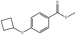 4-Cyclobutoxy-benzoic acid Methyl ester,1870333-37-1,结构式