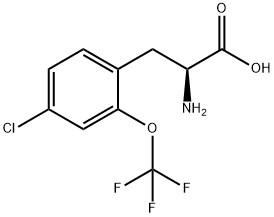 4-Chloro-2-trifluoroMethoxy-DL-phenylalanine, 97% Struktur
