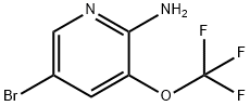 5-broMo-3-(trifluoroMethoxy)pyridin-2-aMine|5-溴-3-三氟甲氧基吡啶-2-胺
