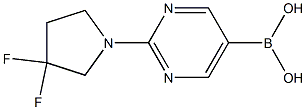 (2-(3,3-Difluoropyrrolidin-1-yl)pyriMidin-5-yl)boronic acid Structure