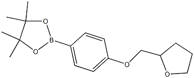 4,4,5,5-四甲基 -2-(4-(四氢呋喃 -2-基)甲氧基)苯基) -1,3,2-二恶硼烷, 2468056-50-8, 结构式