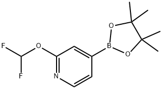 2-(difluoroMethoxy)-4-(4,4,5,5-tetraMethyl-1,3,2-dioxaborolan-2-yl)pyridine Structure