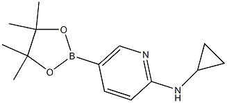 N-环丙基-5-(4,4,5,5-四甲基-1,3,2-二氧杂环戊硼烷-2-基)吡啶-2-胺, , 结构式