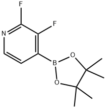 2,3-difluoro-4-(4,4,5,5-tetraMethyl-1,3,2-dioxaborolan-2-yl)pyridine Struktur