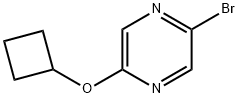 2-Bromo-5-cyclobutoxypyrazine|1086382-86-6