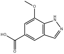7-甲氧基-1H-吲唑-5-羧酸, 1197943-41-1, 结构式