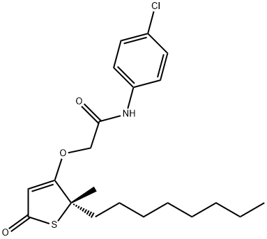 (S)-N-(4-chlorophenyl)-2-((2-methyl-2-octyl-5-oxo-2,5-dihydrothiophen-3-yl)oxy)acetamide Structure