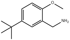 (5-Tert-butyl-2-methoxyphenyl)methanamine 化学構造式