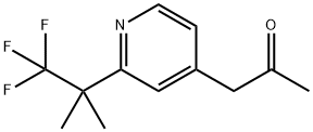 1-(2-(1,1,1-trifluoro-2-methylpropan-2-yl)pyridin-4-yl)propan-2-one Struktur