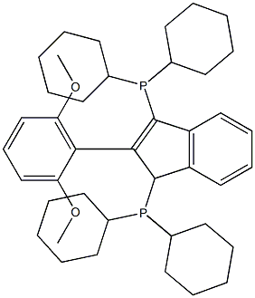 2-(2,6-二甲氧基)苯基-3-茚基二(二环己基膦) 结构式