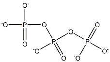 Triphosphate  Structure