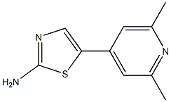 5-(2,6-dimethylpyridin-4-yl)thiazol-2-amine,1862781-79-0,结构式