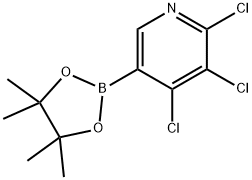 2,3,4-Trichloropyridine-5-boronic acid pinacol ester Struktur