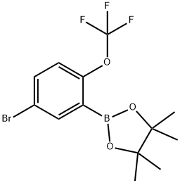 2121515-02-2 结构式