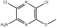 808141-83-5 3,5-Dichloro-6-methoxy-pyrazin-2-ylamine