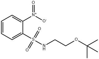N-[2-[(2-methylpropan-2-yl)oxy]ethyl]-2-nitrobenzenesulfonamide 化学構造式